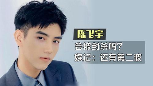 爆料第二波陈飞宇视频,第二波爆料揭露惊人内幕